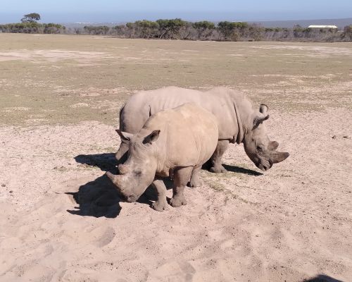 suedafrika_08-min